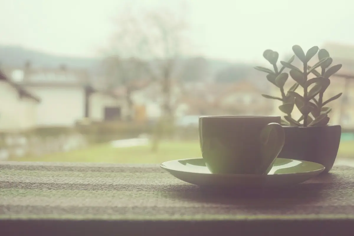 A cup of tea on a windowsill on a gray day